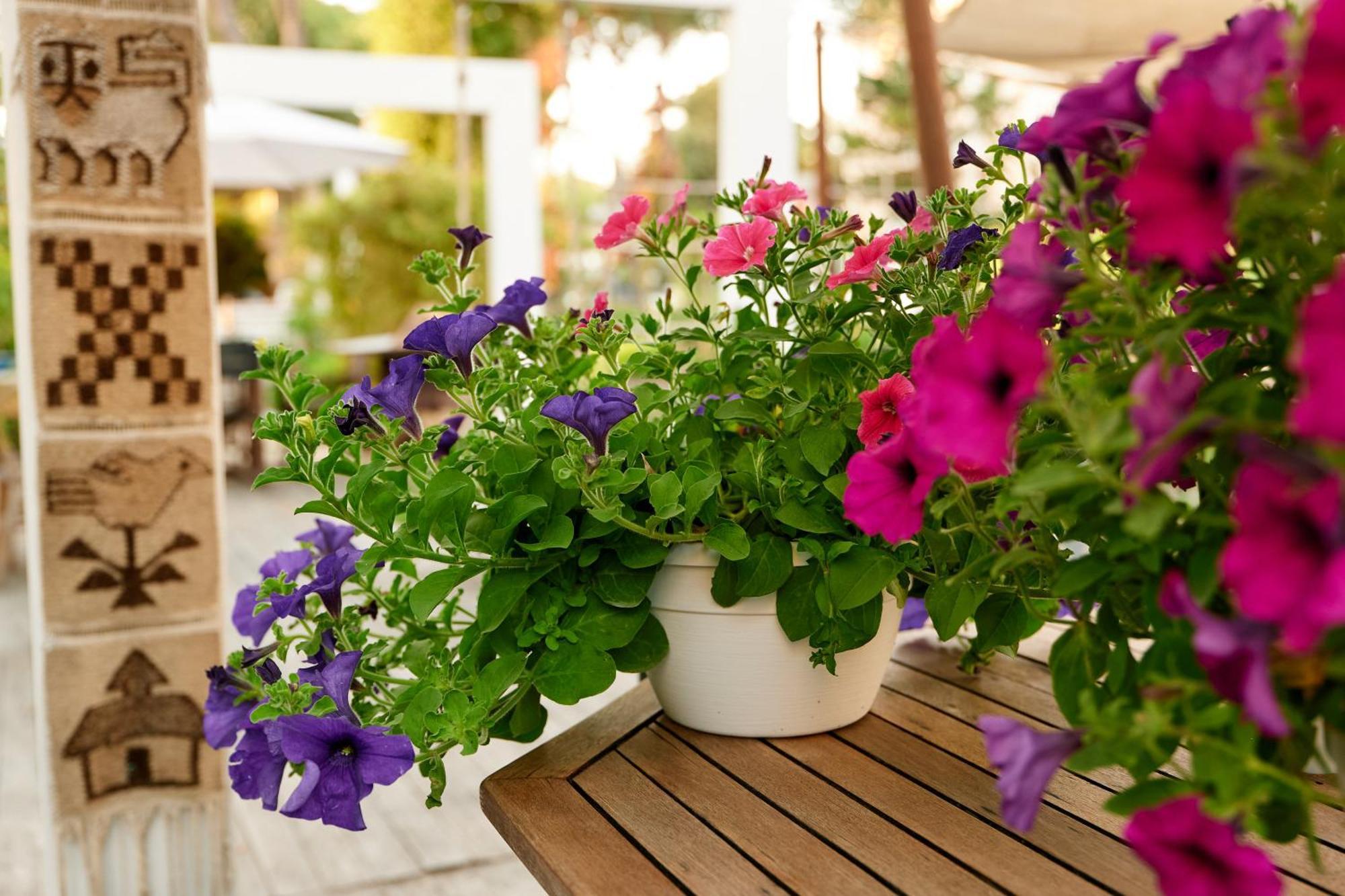 Hotel Saraceno Resort With Private Beach Milano Marittima Dış mekan fotoğraf